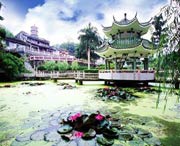 新兴天气预报40天
